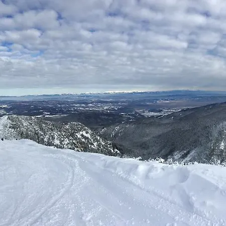 Mechka Dağ evi Borovets