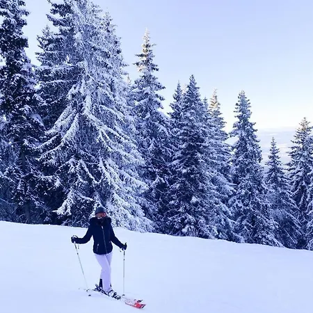 Mechka * Borovets