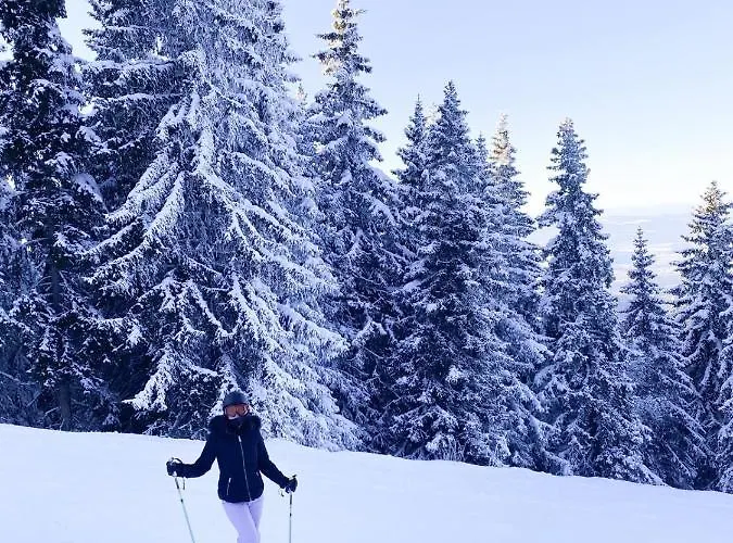 Mechka * 보로베츠